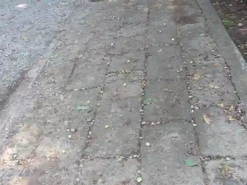 網戸神社(栃木県)