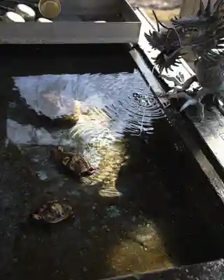 南湖神社(福島県)