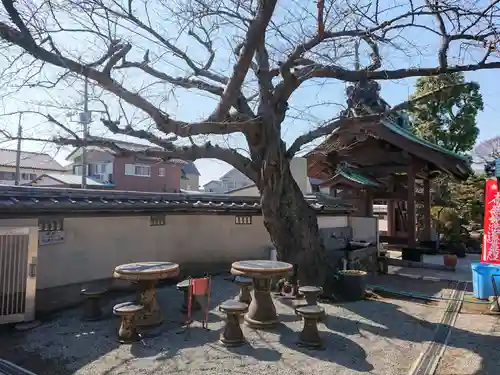 要法寺の庭園