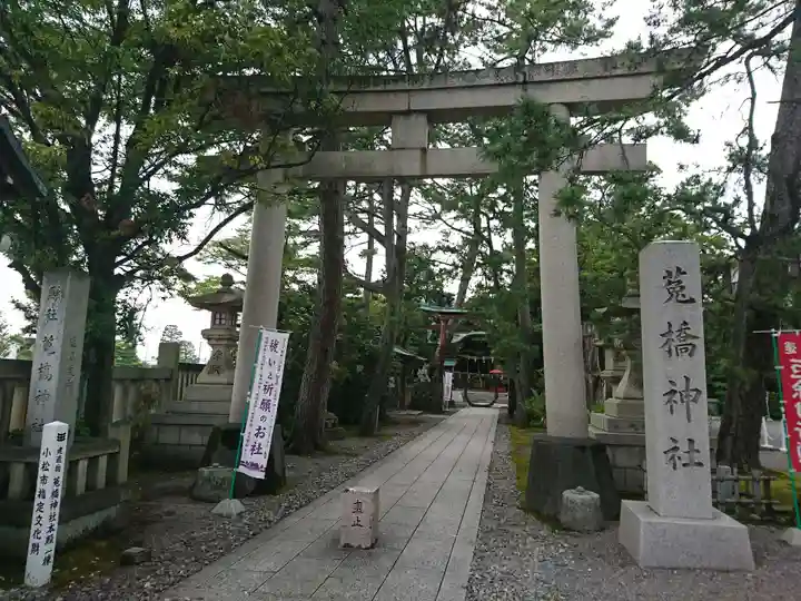 菟橋神社の鳥居