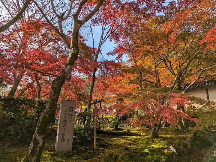 二尊院(京都府)