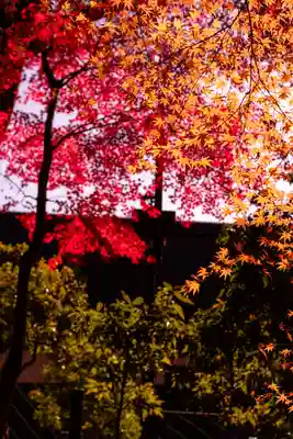 賀茂別雷神社（上賀茂神社）(京都府)
