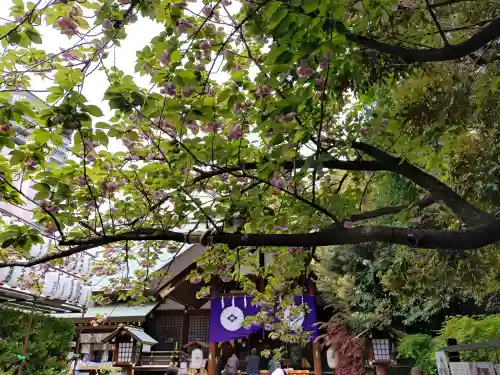 東京大神宮(東京都)