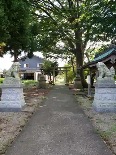 白山比咩神社の狛犬