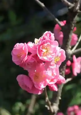 下御霊神社(京都府)