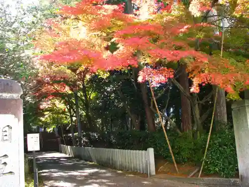 安養寺のその他建物