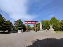 北海道護國神社の鳥居