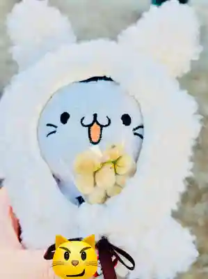 浅草寺(東京都)