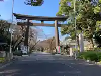 愛知縣護國神社の鳥居