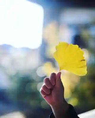 浄土寺(兵庫県)