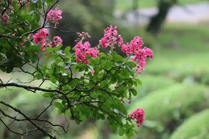 鹿島大神宮の庭園