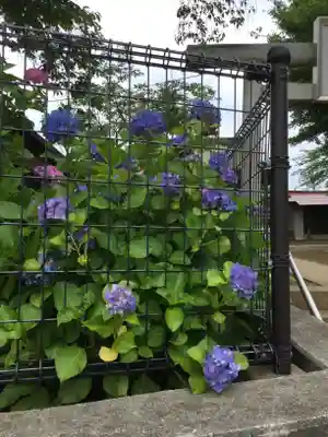 明治神宮の自然