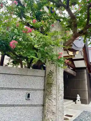 宝性寺(埼玉県)