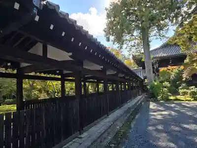 真正極楽寺(真如堂)(京都府)