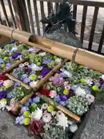 豊平神社の手水舎