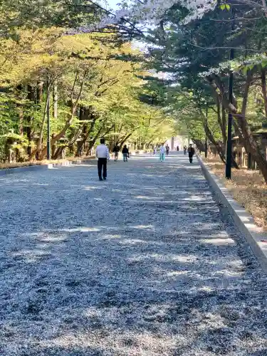 北海道神宮(北海道)