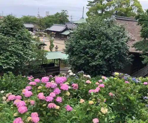 性海寺のその他建物