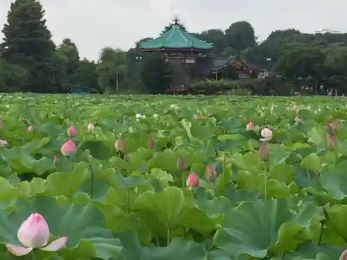 寛永寺不忍池弁天堂の庭園