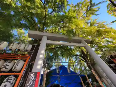 波除神社（波除稲荷神社）の鳥居