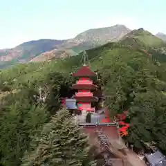 柏原八幡宮の自然