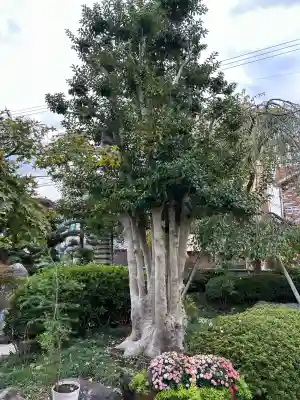 法花院(愛知県)