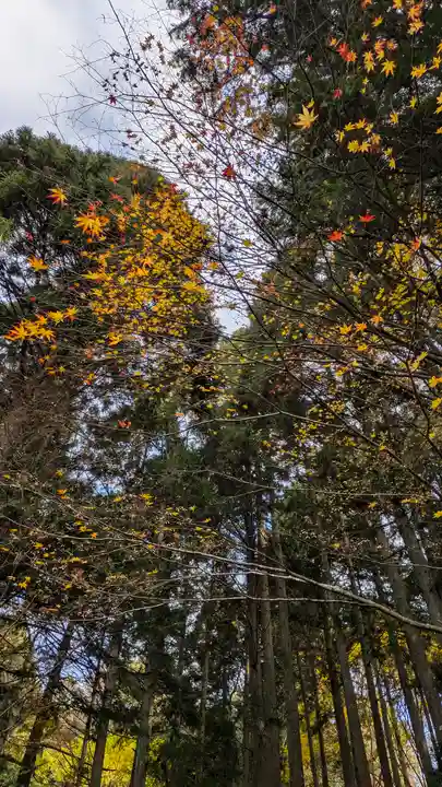 上ノ院本坊 来迎院(京都府)