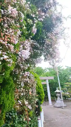 神明社（国府宮神明社）の自然