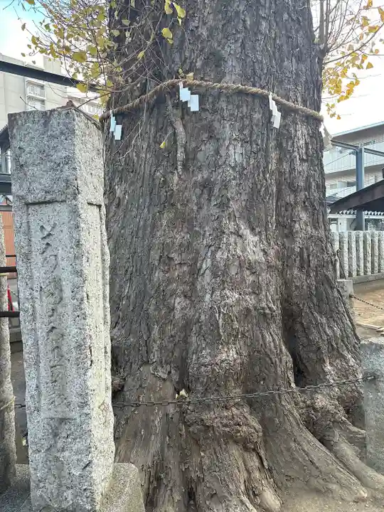 出世稲荷神社(埼玉県)
