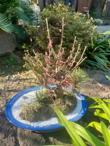 安養院の{uncategorized: "未分類", other: "その他", undefined: "問題あり", building: "その他建物", grave: "お墓", sacred_gate: "鳥居", guardian: "狛犬", statue: "像", buddha: "仏像", history: "歴史", nature: "自然", garden: "庭園", animal: "動物", pagoda: "塔", temizu: "手水舎", mountain_gate: "山門・神門", sanctuary: "本殿・本堂", subordinate: "末社・摂社", art: "芸術", scenery: "景色", jizo: "地蔵", ema: "絵馬", goshuin: "御朱印", omikuji: "おみくじ", items: "授与品その他", amulet: "お守り", goshuincho: "御朱印帳", eats: "食事", festival: "お祭り", votive_dance: "神楽", shichigosan: "七五三参", wedding: "結婚式", experience: "体験その他", initially: "初詣", around: "周辺", anti_infection: "感染症対策"}