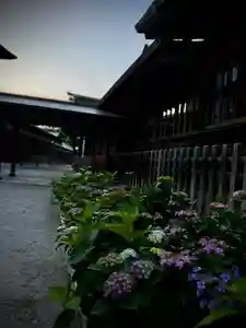 十日恵比須神社(福岡県)(2025年05月27日(火) 18時18分53秒投稿)