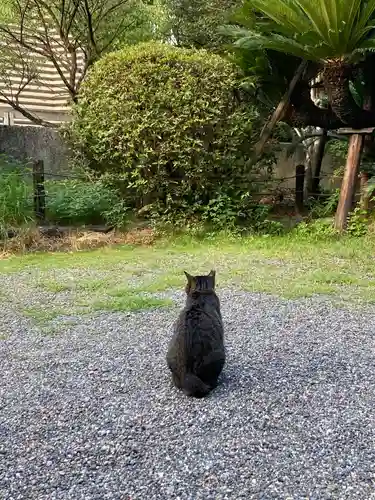 熱田神宮(愛知県)