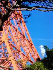 飯倉熊野神社(東京都)