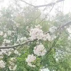 宗形神社の自然