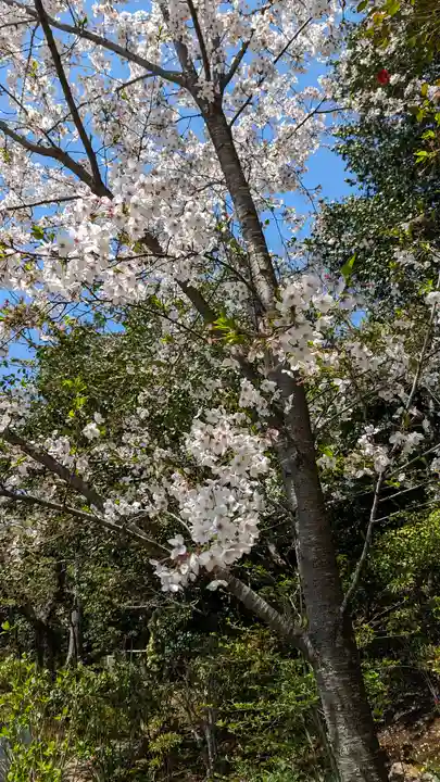 法金剛院(京都府)