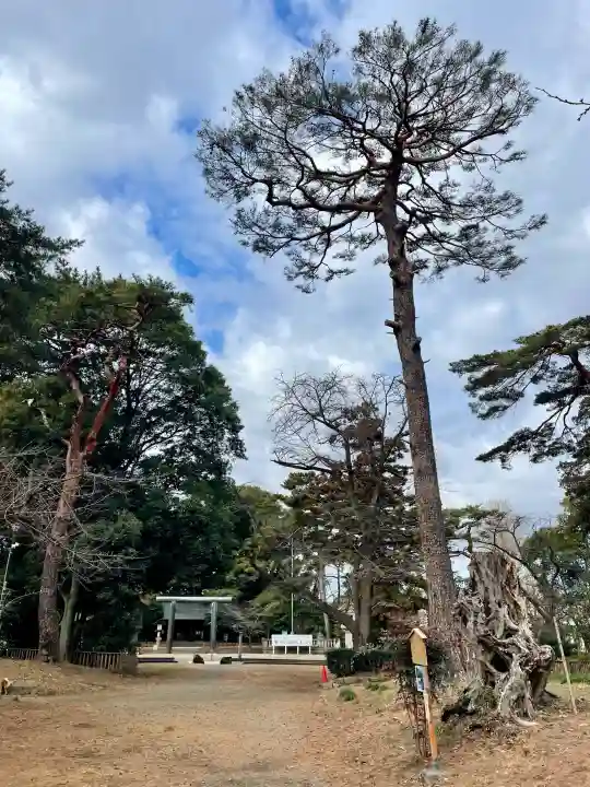 埼玉縣護國神社の{uncategorized: "未分類", other: "その他", undefined: "問題あり", building: "その他建物", grave: "お墓", sacred_gate: "鳥居", guardian: "狛犬", statue: "像", buddha: "仏像", history: "歴史", nature: "自然", garden: "庭園", animal: "動物", pagoda: "塔", temizu: "手水舎", mountain_gate: "山門・神門", sanctuary: "本殿・本堂", subordinate: "末社・摂社", art: "芸術", scenery: "景色", jizo: "地蔵", ema: "絵馬", goshuin: "御朱印", omikuji: "おみくじ", items: "授与品その他", amulet: "お守り", goshuincho: "御朱印帳", eats: "食事", festival: "お祭り", votive_dance: "神楽", shichigosan: "七五三参", wedding: "結婚式", experience: "体験その他", initially: "初詣", around: "周辺", anti_infection: "感染症対策"}