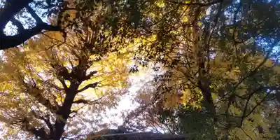 大鷲神社(東京都)