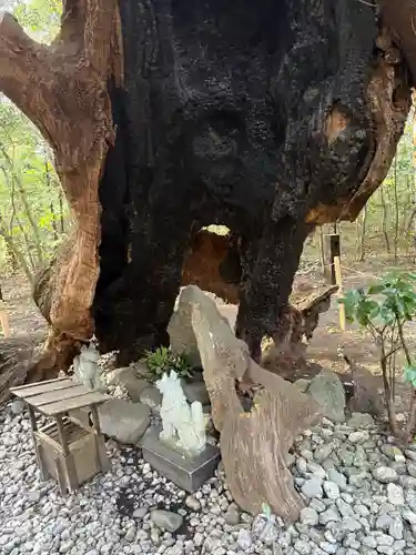 月夜見宮（豊受大神宮別宮）(三重県)