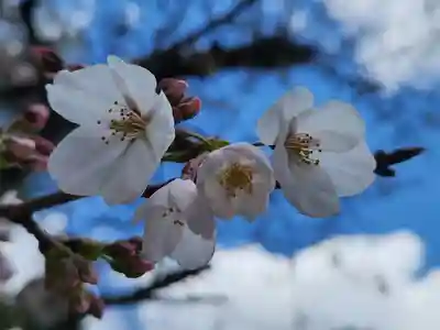 皇子神社(兵庫県)