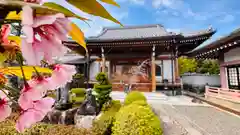 蓮華寺(京都府)