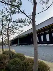 蓮華王院（三十三間堂）(京都府)