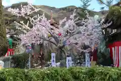 古町豊受大神宮(長野県)