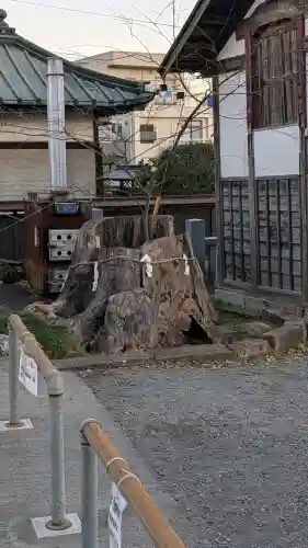 鹿沼今宮神社の{uncategorized: "未分類", other: "その他", undefined: "問題あり", building: "その他建物", grave: "お墓", sacred_gate: "鳥居", guardian: "狛犬", statue: "像", buddha: "仏像", history: "歴史", nature: "自然", garden: "庭園", animal: "動物", pagoda: "塔", temizu: "手水舎", mountain_gate: "山門・神門", sanctuary: "本殿・本堂", subordinate: "末社・摂社", art: "芸術", scenery: "景色", jizo: "地蔵", ema: "絵馬", goshuin: "御朱印", omikuji: "おみくじ", items: "授与品その他", amulet: "お守り", goshuincho: "御朱印帳", eats: "食事", festival: "お祭り", votive_dance: "神楽", shichigosan: "七五三参", wedding: "結婚式", experience: "体験その他", initially: "初詣", around: "周辺", anti_infection: "感染症対策"}
