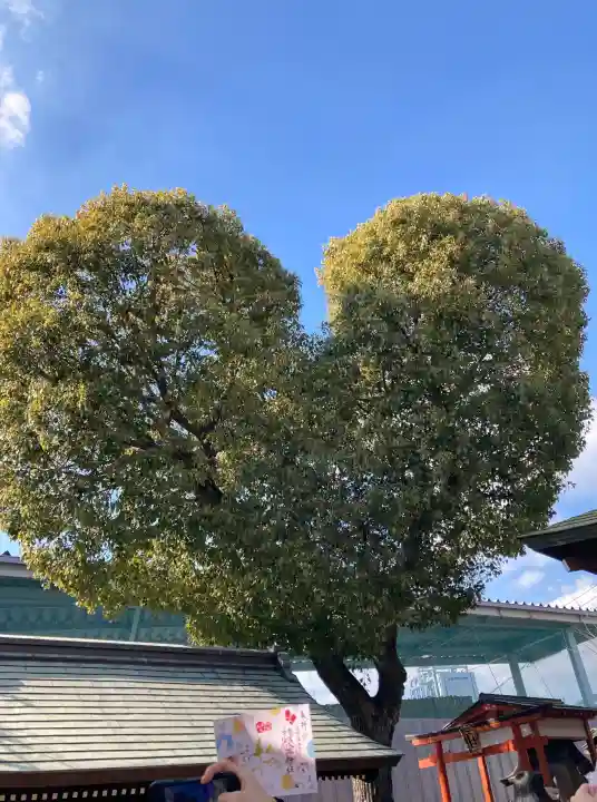 南宮宇佐八幡神社(脇浜神社)の{uncategorized: "未分類", other: "その他", undefined: "問題あり", building: "その他建物", grave: "お墓", sacred_gate: "鳥居", guardian: "狛犬", statue: "像", buddha: "仏像", history: "歴史", nature: "自然", garden: "庭園", animal: "動物", pagoda: "塔", temizu: "手水舎", mountain_gate: "山門・神門", sanctuary: "本殿・本堂", subordinate: "末社・摂社", art: "芸術", scenery: "景色", jizo: "地蔵", ema: "絵馬", goshuin: "御朱印", omikuji: "おみくじ", items: "授与品その他", amulet: "お守り", goshuincho: "御朱印帳", eats: "食事", festival: "お祭り", votive_dance: "神楽", shichigosan: "七五三参", wedding: "結婚式", experience: "体験その他", initially: "初詣", around: "周辺", anti_infection: "感染症対策"}