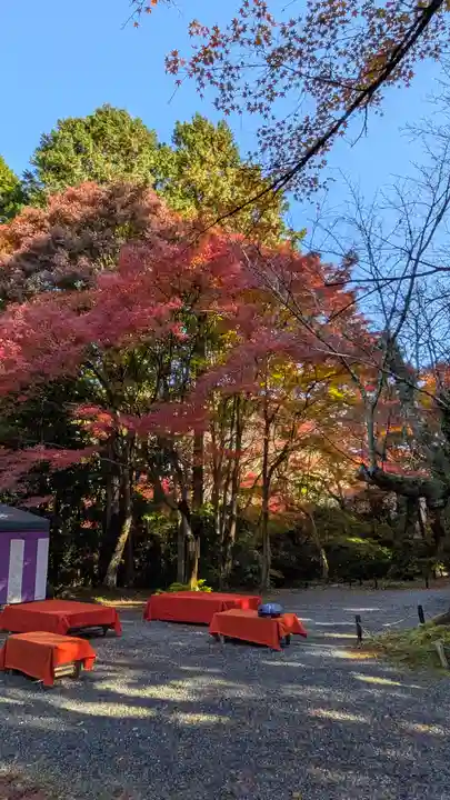 常照寺(京都府)
