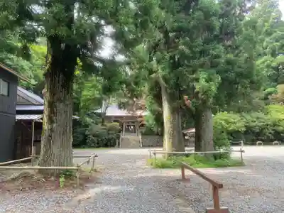 西照神社(徳島県)
