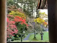 勝林寺の庭園