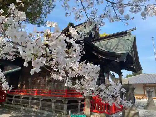 美奈宜神社(福岡県)