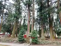 都々古別神社(八槻)の自然