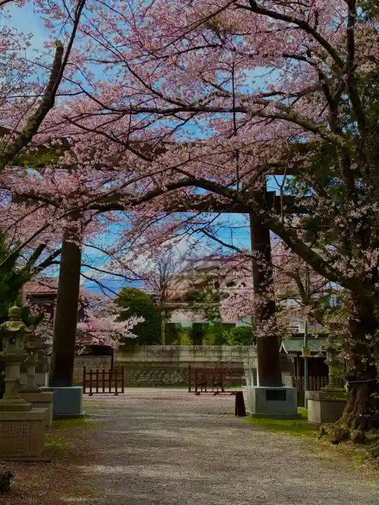 冨士御室浅間神社の{uncategorized: "未分類", other: "その他", undefined: "問題あり", building: "その他建物", grave: "お墓", sacred_gate: "鳥居", guardian: "狛犬", statue: "像", buddha: "仏像", history: "歴史", nature: "自然", garden: "庭園", animal: "動物", pagoda: "塔", temizu: "手水舎", mountain_gate: "山門・神門", sanctuary: "本殿・本堂", subordinate: "末社・摂社", art: "芸術", scenery: "景色", jizo: "地蔵", ema: "絵馬", goshuin: "御朱印", omikuji: "おみくじ", items: "授与品その他", amulet: "お守り", goshuincho: "御朱印帳", eats: "食事", festival: "お祭り", votive_dance: "神楽", shichigosan: "七五三参", wedding: "結婚式", experience: "体験その他", initially: "初詣", around: "周辺", anti_infection: "感染症対策"}