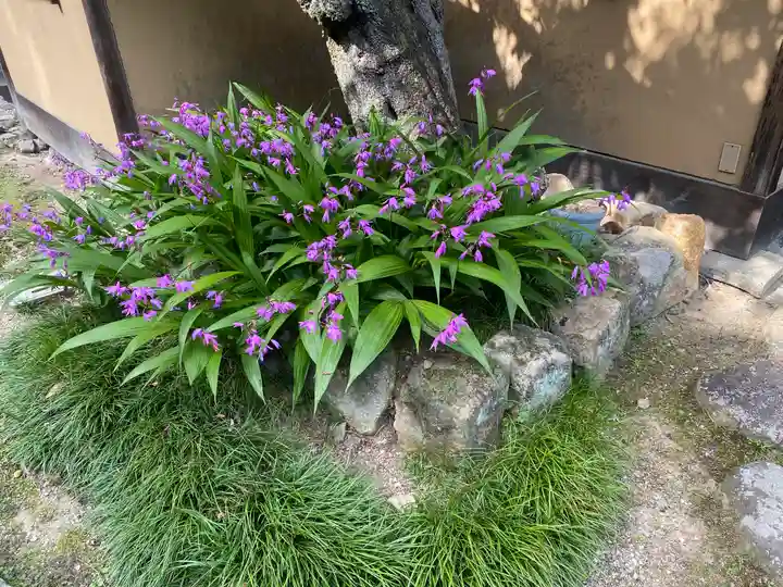 岩屋寺(京都府)